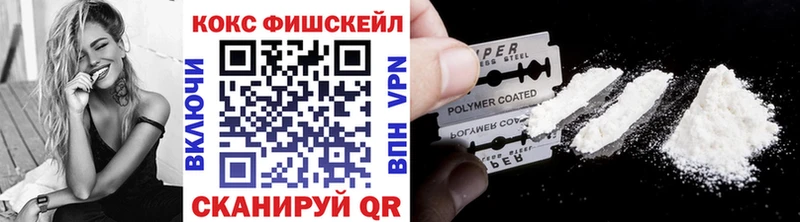 Кокаин FishScale  купить наркоту  Ковылкино 
